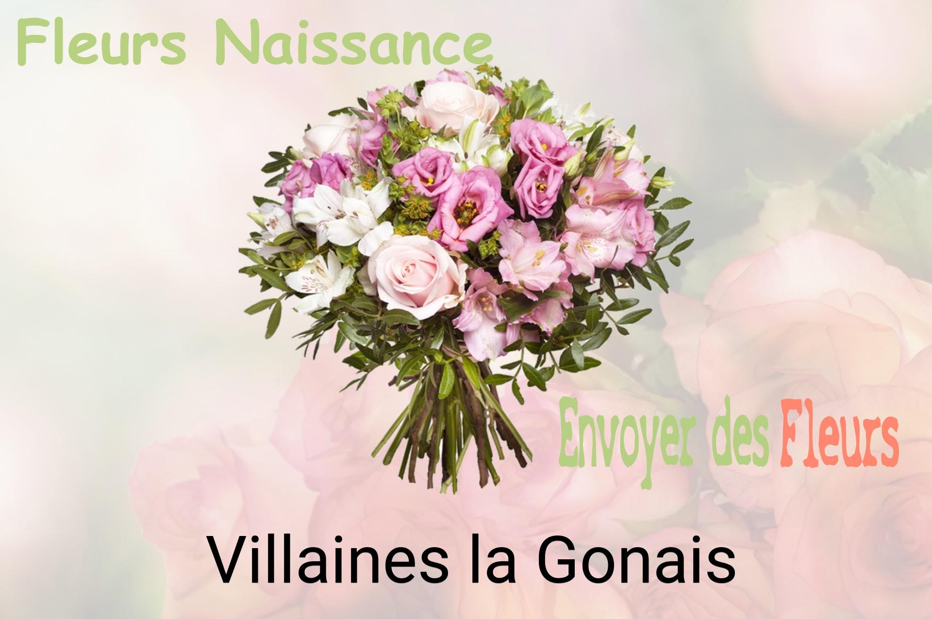 Bouquet de fleurs de naissance livré à Villaines-la-Gonais